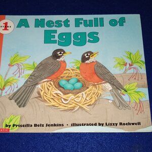 A Nest Full of Eggs by Priscilla Beiz Jenkins New Paperback